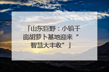 山东巨野：小镇千亩胡萝卜基地迎来“智慧大丰收”